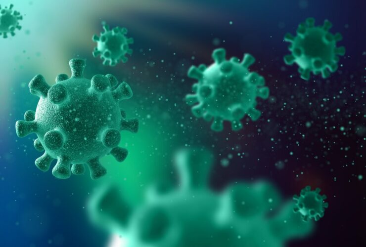Visual Representation of Norovirus