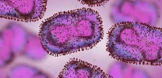 Visual Representation for mpox virus