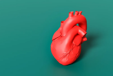 Risk of Heart Disease Among US Adults