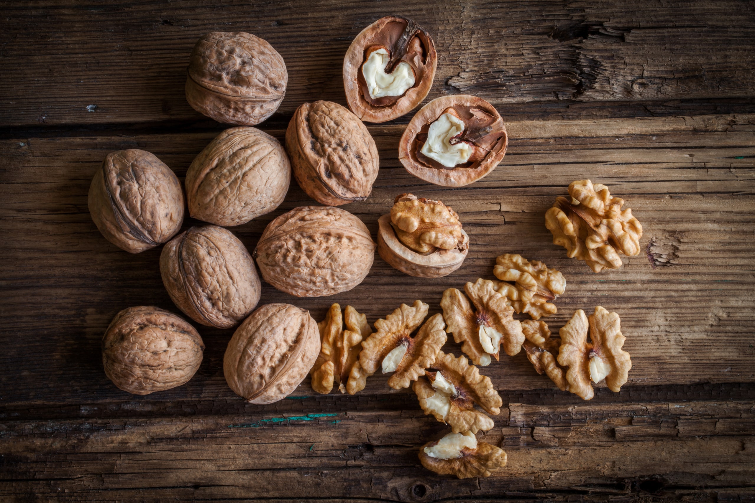 Outbreak Alert: E coli O157 Ravages States, Traced to Gibson Farms Organic Walnuts